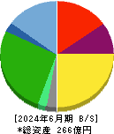 ミダックホールディングス 貸借対照表 2024年6月期 ミダックホールディングス 貸借対照表 2024年6月期