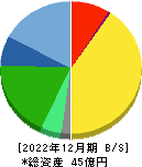 ＨＣＳホールディングス 貸借対照表 2022年12月期