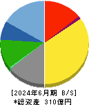 ＢＳＮメディアホールディングス 貸借対照表 2024年6月期