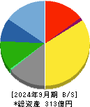 ＢＳＮメディアホールディングス 貸借対照表 2024年9月期