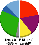 東海汽船 貸借対照表 2024年9月期