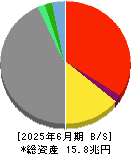 ＳＯＭＰＯホールディングス 貸借対照表 2025年6月期