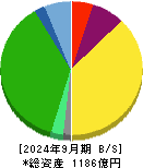 東京都競馬 貸借対照表 2024年9月期