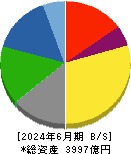 ニップン 貸借対照表 2024年6月期