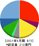 ウェルネット 貸借対照表 2021年6月期 ウェルネット 貸借対照表 2021年6月期