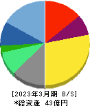 データセクション 貸借対照表 2023年3月期 データセクション 貸借対照表 2023年3月期