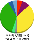 東京都競馬 貸借対照表 2024年6月期