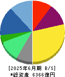 セガサミーホールディングス 貸借対照表 2025年6月期