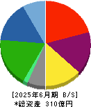 セレンディップ・ホールディングス 貸借対照表 2025年6月期