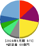 プロジェクトホールディングス 貸借対照表 2024年6月期