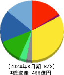 ベルテクスコーポレーション 貸借対照表 2024年6月期