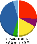 ＡＭＧホールディングス 貸借対照表 2024年9月期