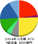宝ホールディングス 貸借対照表 2024年12月期