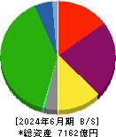 相鉄ホールディングス 貸借対照表 2024年6月期