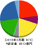 日本軽金属ホールディングス 貸借対照表 2019年3月期