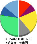 ペイクラウドホールディングス 貸借対照表 2024年5月期