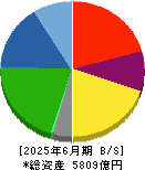 フェローテック 貸借対照表 2025年6月期