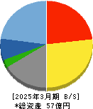 ＣＧＳホールディングス 貸借対照表 2025年3月期