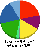 ＳＴＧ 貸借対照表 2024年9月期