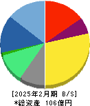 テクミラホールディングス 貸借対照表 2025年2月期 テクミラホールディングス 貸借対照表 2025年2月期