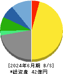 東和ハイシステム 貸借対照表 2024年6月期