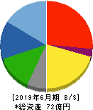 サイタホールディングス 貸借対照表 2019年6月期