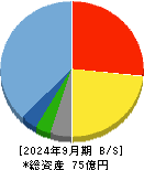 光ハイツ・ヴェラス 貸借対照表 2024年9月期