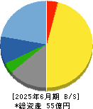 ＮＦＫホールディングス 貸借対照表 2025年6月期