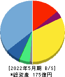 ＲＰＡホールディングス 貸借対照表 2022年5月期