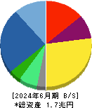 飯田グループホールディングス 貸借対照表 2024年6月期