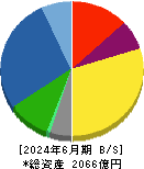 横河ブリッジホールディングス 貸借対照表 2024年6月期