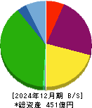 エフオン 貸借対照表 2024年12月期