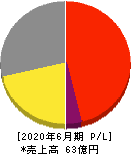 テックファームホールディングス 損益計算書 2020年6月期 テックファームホールディングス 損益計算書 2020年6月期