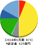 ソフト９９コーポレーション 貸借対照表 2024年6月期