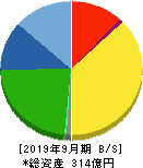 エスケーエレクトロニクス 貸借対照表 2019年9月期 エスケーエレクトロニクス 貸借対照表 2019年9月期
