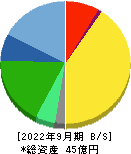ＨＣＳホールディングス 貸借対照表 2022年9月期