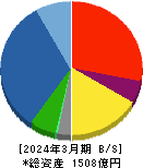飛島ホールディングス 貸借対照表 2024年3月期 飛島ホールディングス 貸借対照表 2024年3月期