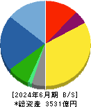 カシオ計算機 貸借対照表 2024年6月期