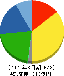 大成ラミックグループ 貸借対照表 2022年3月期 大成ラミックグループ 貸借対照表 2022年3月期