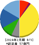 ティムコ 貸借対照表 2024年2月期