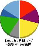 ウチヤマホールディングス 貸借対照表 2023年3月期 ウチヤマホールディングス 貸借対照表 2023年3月期