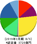 サワイグループホールディングス 貸借対照表 2019年3月期 サワイグループホールディングス 貸借対照表 2019年3月期