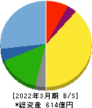 丸八ホールディングス 貸借対照表 2022年3月期 丸八ホールディングス 貸借対照表 2022年3月期