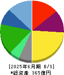 タウンズ 貸借対照表 2025年6月期 タウンズ 貸借対照表 2025年6月期