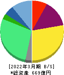 シンプレクス・ホールディングス 貸借対照表 2022年3月期 シンプレクス・ホールディングス 貸借対照表 2022年3月期
