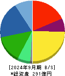 タウンズ 貸借対照表 2024年9月期