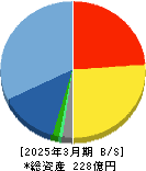 ソリトンシステムズ 貸借対照表 2025年3月期