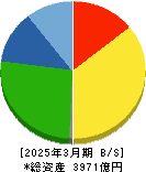 新光電気工業 貸借対照表 2025年3月期