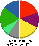 日本電信電話 貸借対照表 2025年3月期