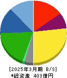 ビケンテクノ 貸借対照表 2025年3月期 ビケンテクノ 貸借対照表 2025年3月期